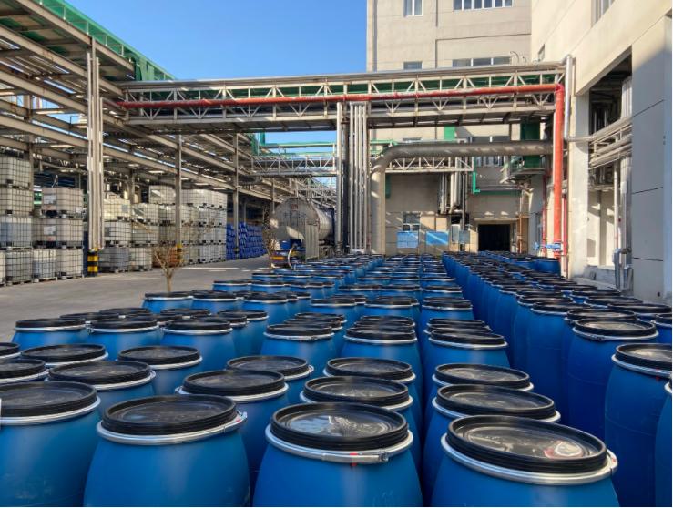 SLES -pic (63)-1.jpg